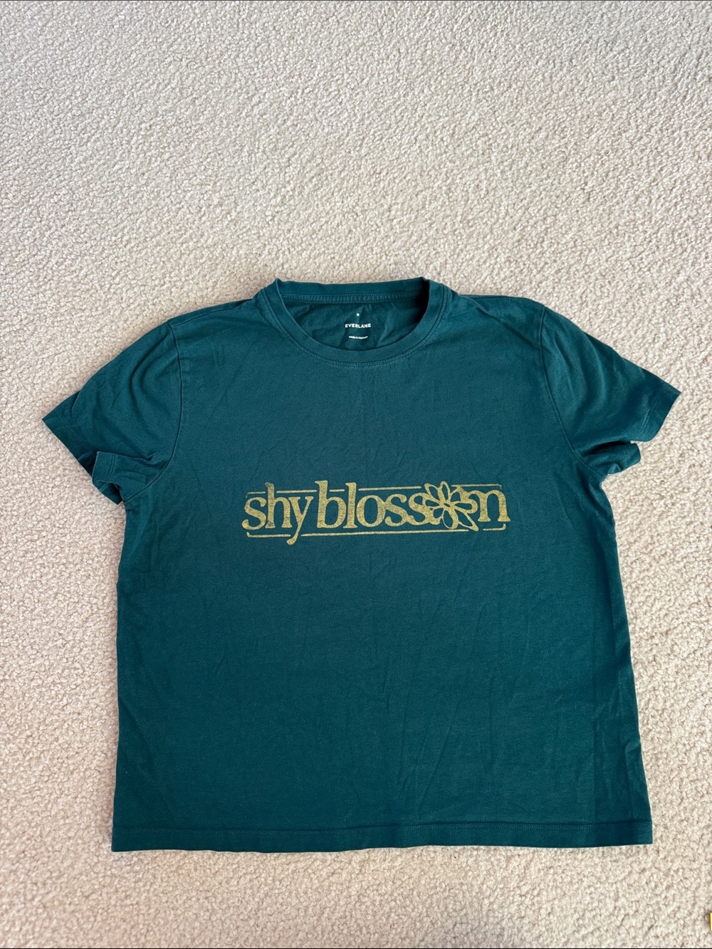 Everlane Teal Crewneck T-Shirt